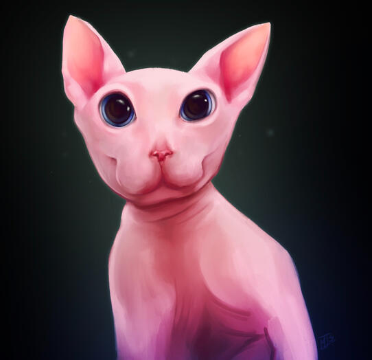 Bingus Meme Painting